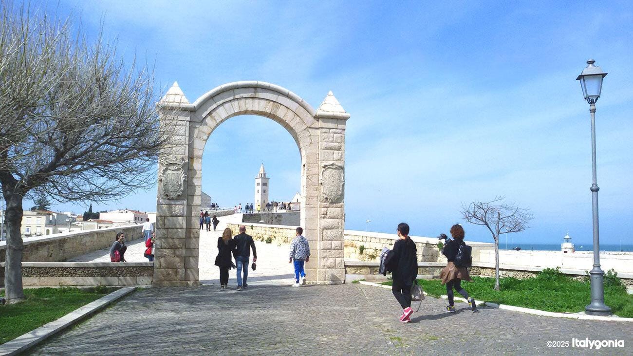 Otranto: Exklusive Tagestour nach Trani/Castel del Monte