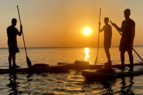 Al Khor: Kajakpaddling i mangroveskogen