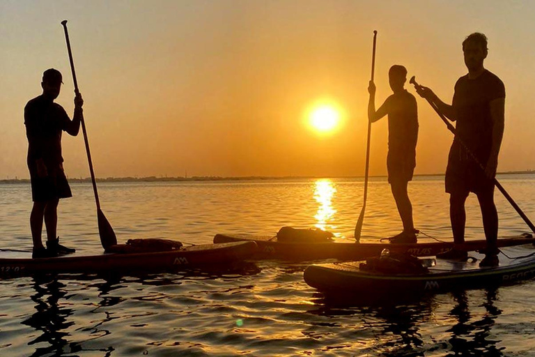 Al Khor: Kajakpaddling i mangroveskogen