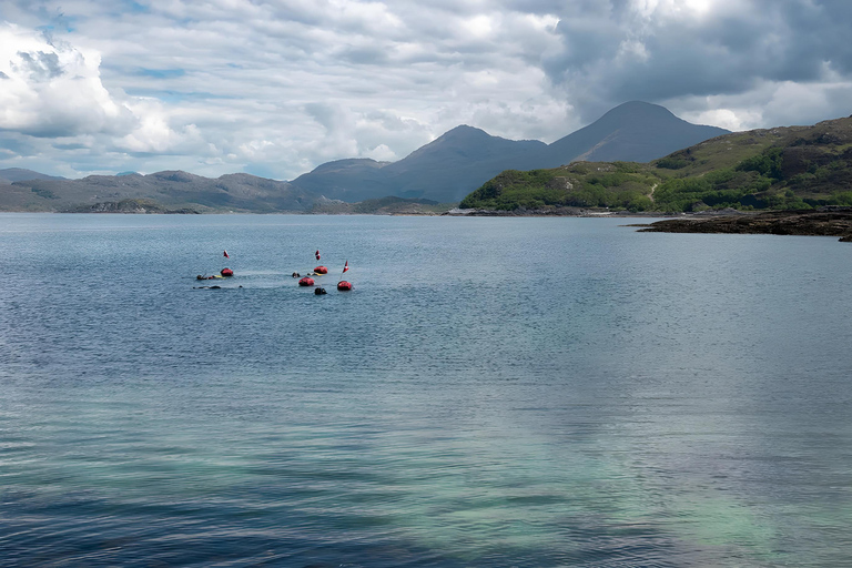 Fort William: Seatrekking Day Trip