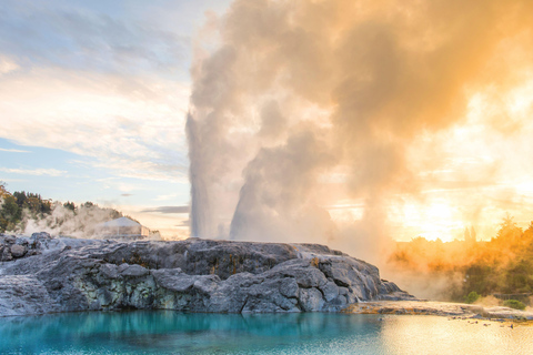 Vanuit Auckland: Waitomo grotten en Rotorua met Te Puia