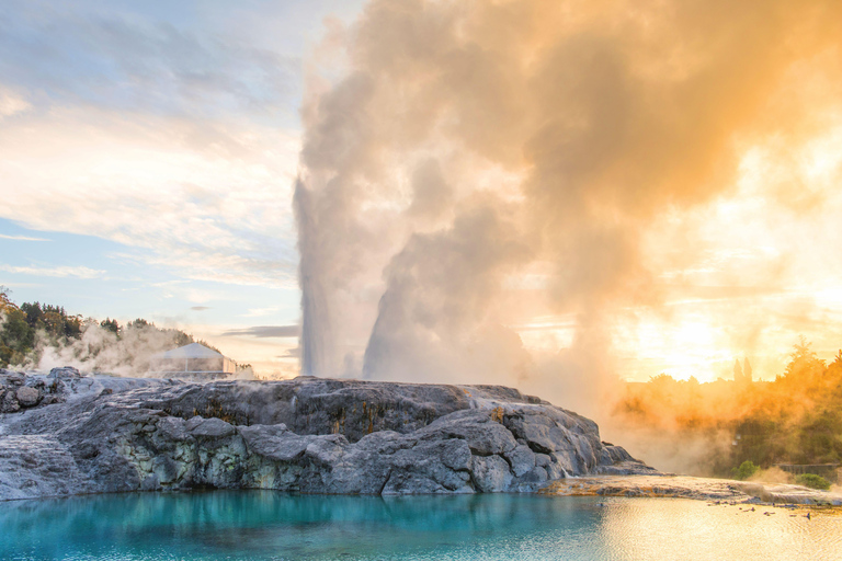 De Auckland: cavernas de Waitomo e Rotorua com Te Puia