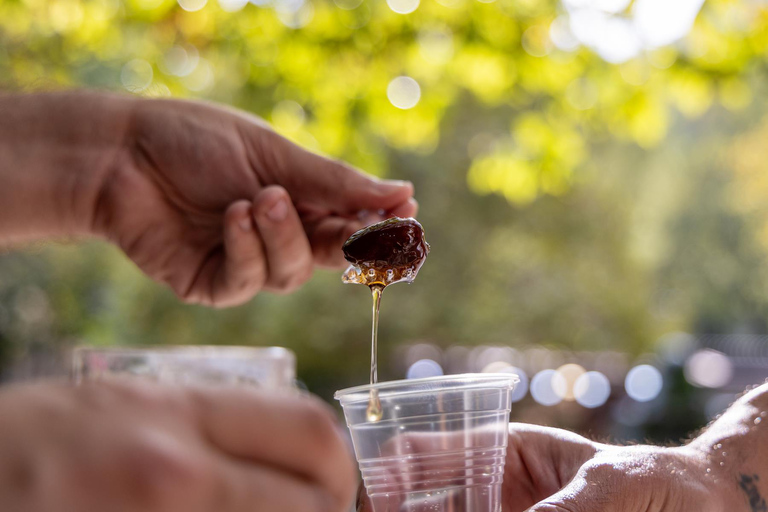 Z Salonik: Termy Pozar i wodospady w Edessie