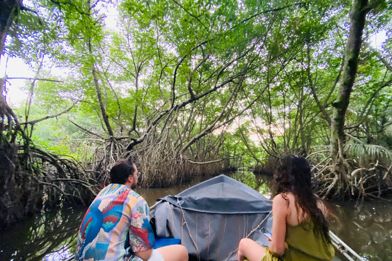 Bentota River Safari: Entdecke Wildtiere und Mangroven vom Boot ausBentota River Safari: Entdecke die Tierwelt und Mangroven vom Boot aus