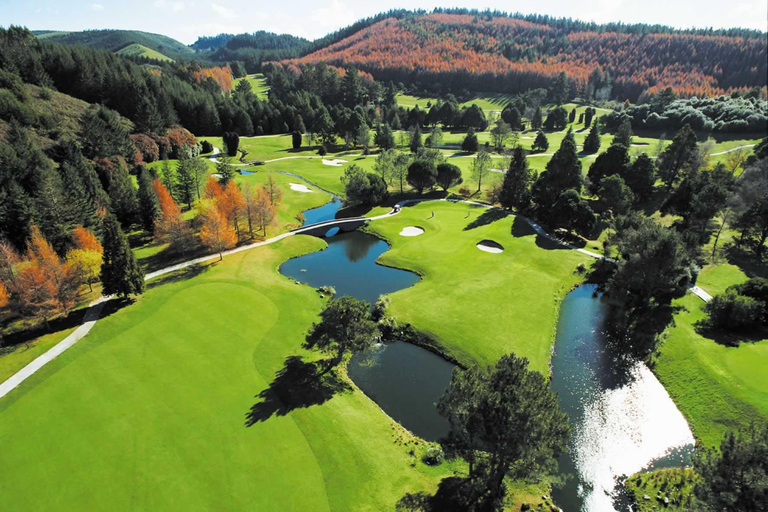 Wellington: Tour de golf de 7 días por la parte sur de la Isla NorteWellington: Tour de golf de 7 días por el sur de la Isla Norte