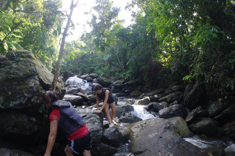 San Juan: El Yunque Waterfalls & Scenic Beach Buggy Private Service (ALL INCLUSIVE)