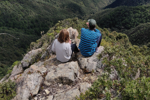 Oaxaca: Hiking in the Sierra Norte Forest