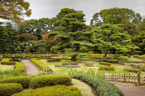 Tokyo Privat sightseeing med engelsktalande chaufför