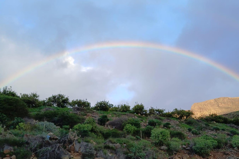 Maspalomas-fataga-ayagaures by e-bike through ravines