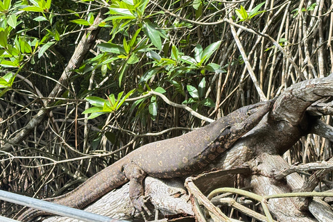 Bentota: River Boat Safari and Tuk-Tuk Ride with Pickup-Drop