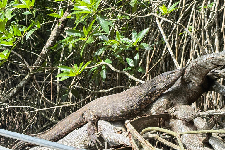 Bentota: River Boat Safari and Tuk-Tuk Ride with Pickup-Drop
