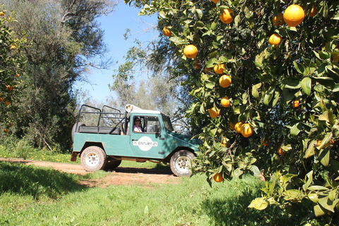 Albufeira Jeep Safari with Zoo
