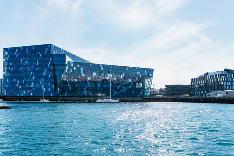 Reykjavik : Tour en bateau pour observer les baleines