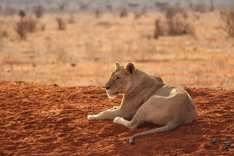 Safari de 2 días por el Parque de Tsavo Este y Tsavo Oeste