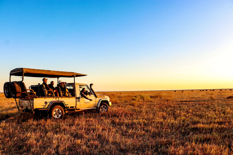 Excursión en coche por el Parque Nacional de Chobe