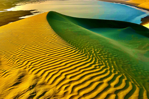 Från Doha: Safari i soluppgång eller solnedgång med sandboarding