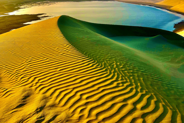 Från Doha: Safari i soluppgång eller solnedgång med sandboarding