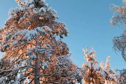 Rovaniemi: Viagem ao zoológico de Ranua