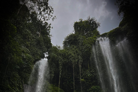 BALI: Sesión de fotos y vídeos, Tour privado personalizado,✅Descubre la cascada del noroeste