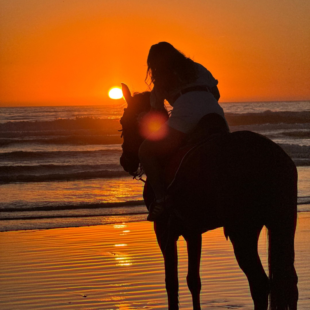Taghazout : balade à cheval privée à Banana Beach avec prise en charge - surf