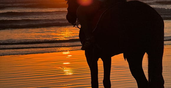 Taghazout: Private Horse Ride on Banana Beach with Pickup