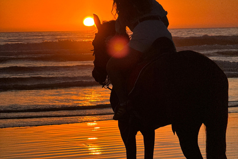 Taghazout: Private Horse Ride on Banana Beach with Pickup
