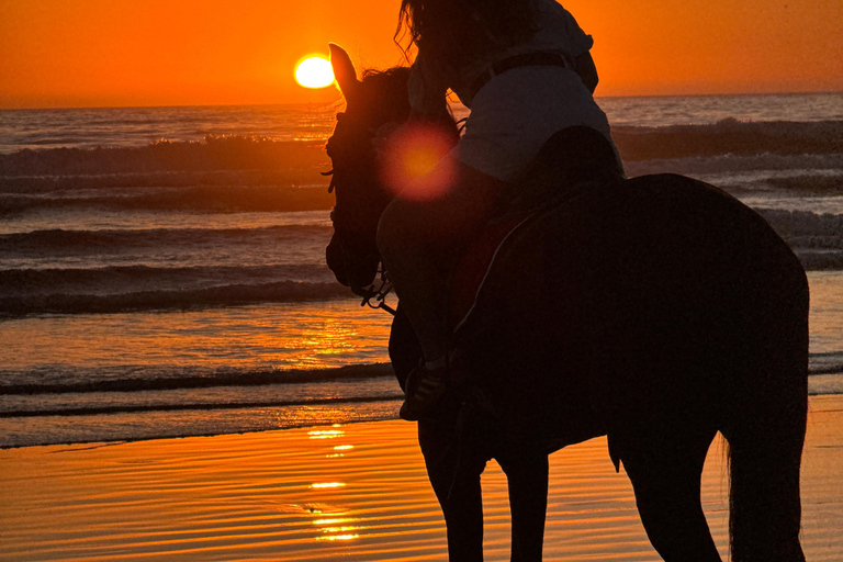 Taghazout: Private Horse Ride on Banana Beach with Pickup