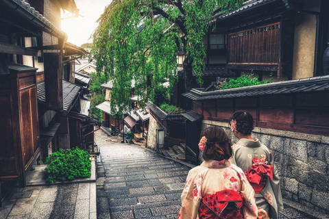 Kyoto: Tour a piedi del quartiere delle geishe di Gion e delle gemme nascoste