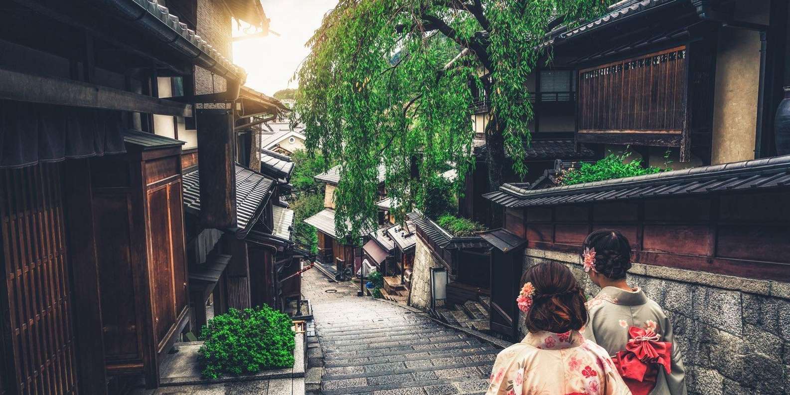 Kyoto experience — temples, geisha, bamboo grove — image 20