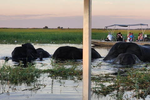 Chobe National Park Day Trip from Victoria Falls with Lunch