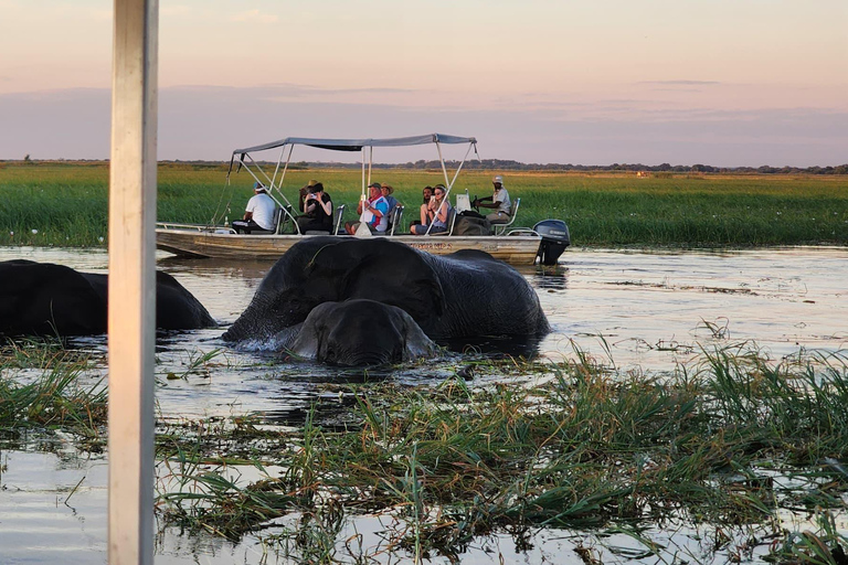 Chobe National Park Day Trip from Victoria Falls with Lunch