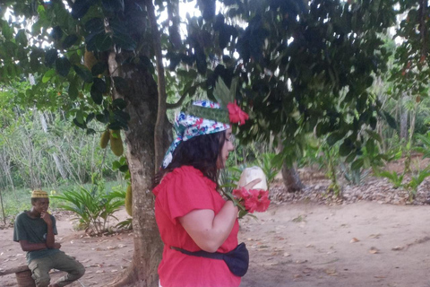 The spice farm and The city tour stone town