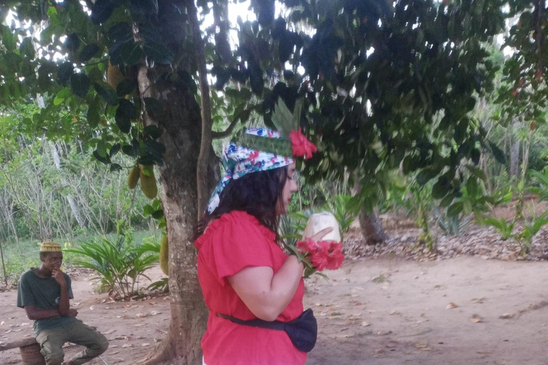 The spice farm and The city tour stone town