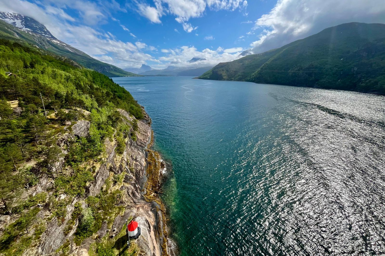 Narvik/Harstad : Excursion d&#039;une journée dans les Fjords avec arrêt à la ferme des rennes