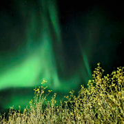Desde Akureyri: Excursión a las Auroras Boreales