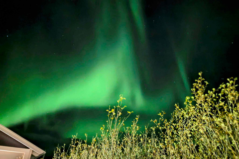 Akureyri: 4-Day Knitting Tour with the locals