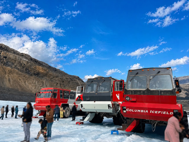 Columbia Icefield: Bow Lake, Peyto Lake, Crowfoot Glacier