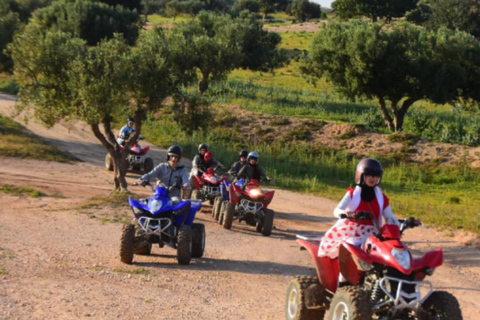 Hammamet: Camel Ride, Lunch, and Quad Biking Tour