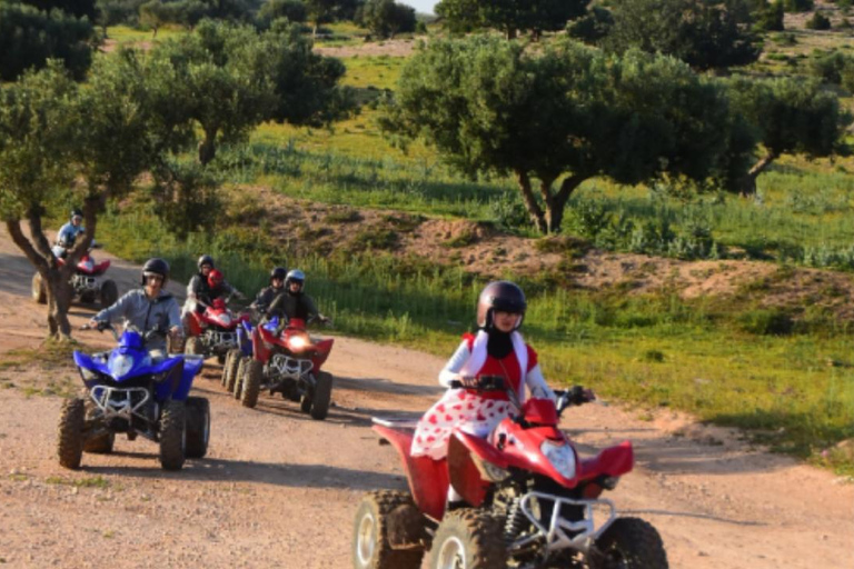 Hammamet: Camel Ride, Lunch, and Quad Biking Tour
