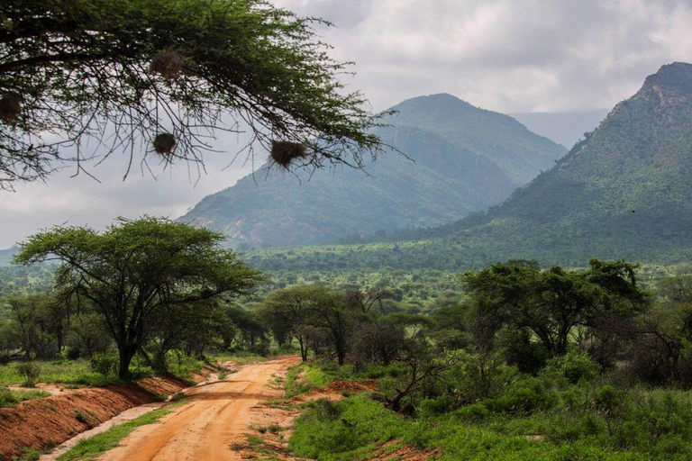 Nairobi: 4 Days epic trip to Amboseli, Tsavo West & East