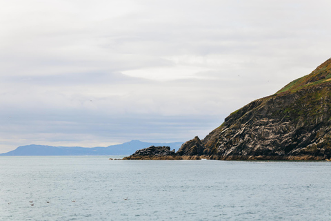 Dublin: Dublin Bay, Howth Coast and Ireland's Eye Boat Tour