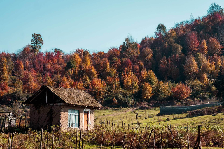 巴库出发：阿斯塔拉一日游含西姆瀑布徒步从巴库出发：阿斯塔拉一日游，含西姆瀑布徒步之旅