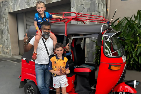 Tour della città di Kandy e tour dello Sri Lanka