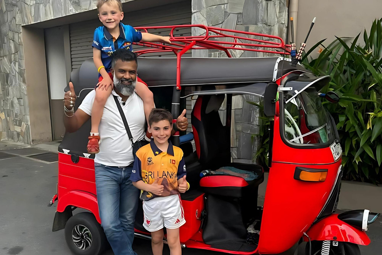 Tour della città di Kandy e tour dello Sri Lanka