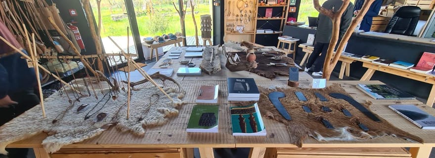 Depuis Evora : Monuments préhistoriques et visite de la ville