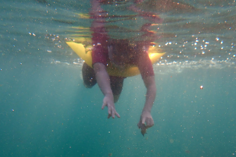 Fai snorkeling nella splendida riserva marina di Sydney con un tour privato