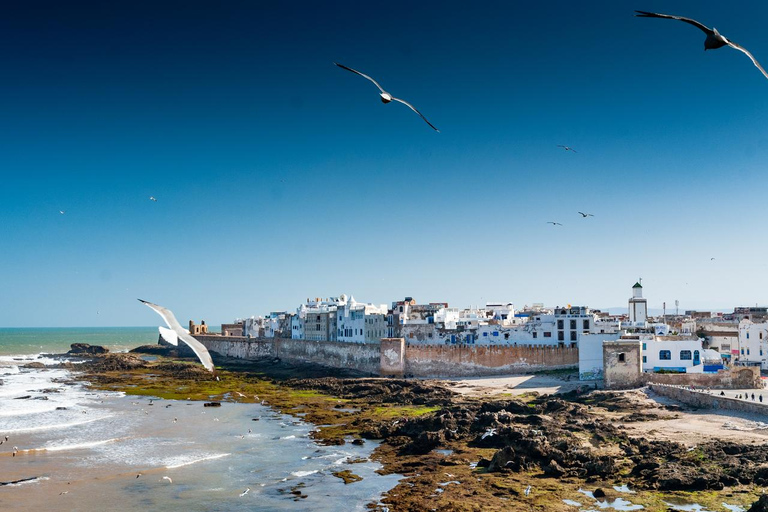 Essaouira: 1.5-Hour Horse Ride & Swim Experience with Photos