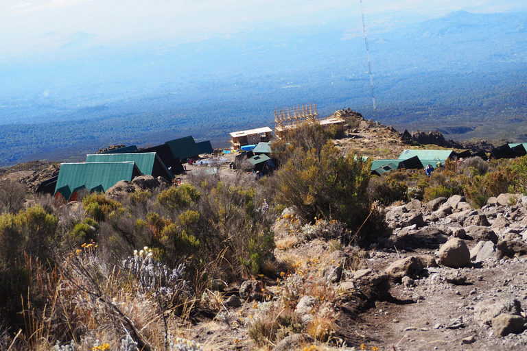 Kilimanjaro: 2-Day Shira Plateau and Peak Trek with Camp