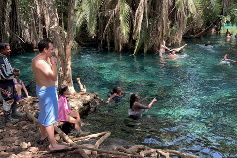 1 Day Private Kikuletwa Hotspring