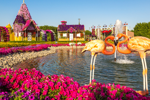 Dubai: Inträdesbiljett till Miracle Garden med transfer till hotelletDubai: Inträdesbiljett till Miracle Garden &amp; privat transfer till hotellet